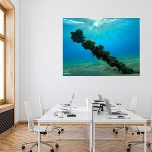 Limited Edition Original Oceanic Art Prints